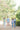 Livelihood premium basics